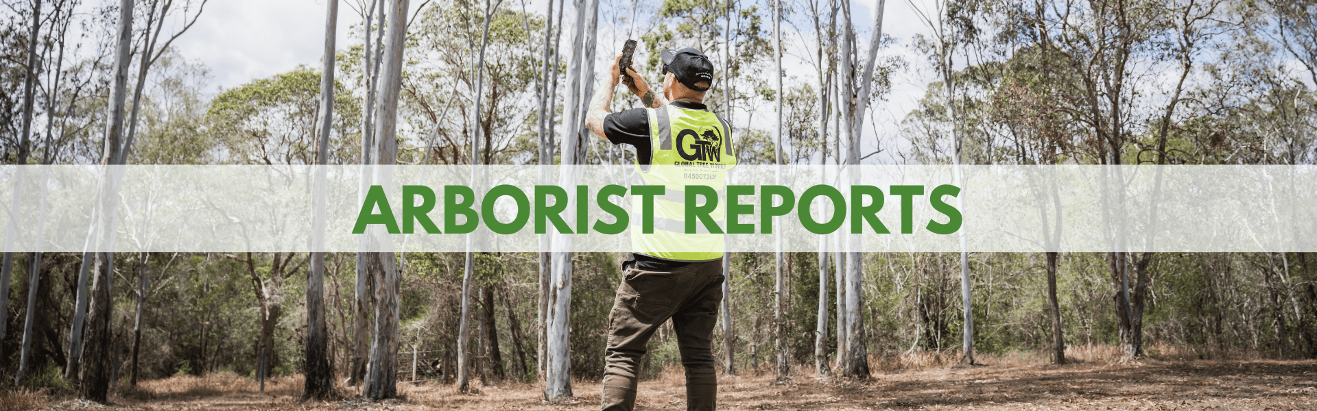 Arborist Reports