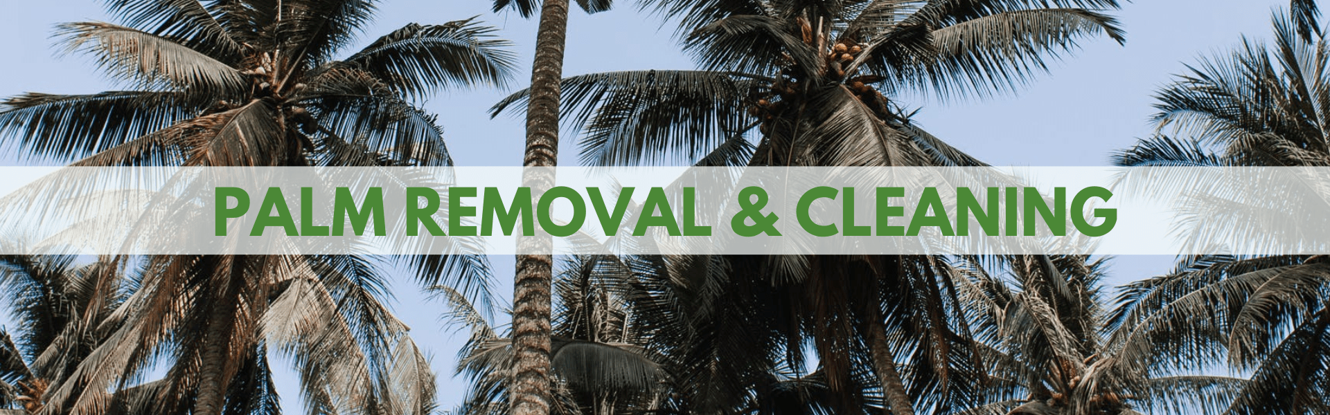 Palm-Removal
