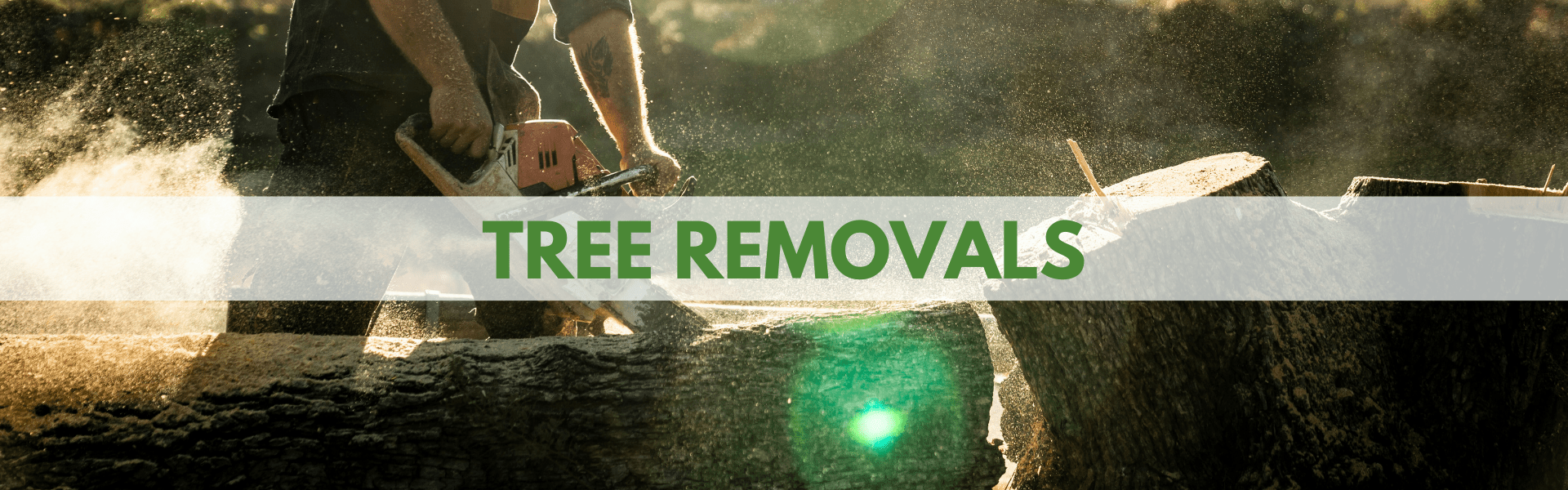 Tree-Removals